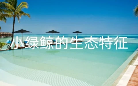 小绿鲸的生态特征