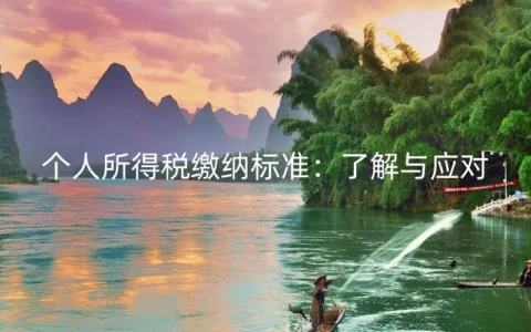 个人所得税缴纳标准：了解与应对