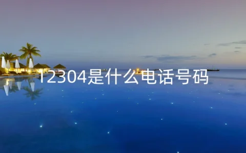 12304是什么电话号码