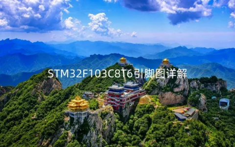 STM32F103C8T6引脚图详解
