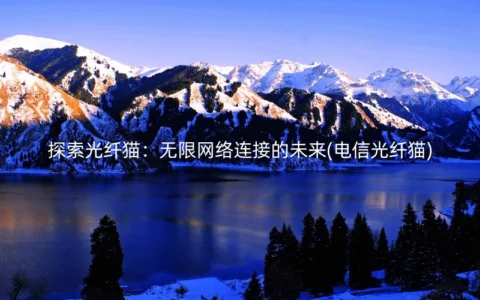 光纤猫：无限网络连接的未来(电信光纤猫)