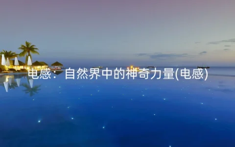 电感：自然界中的神奇力量(电感)