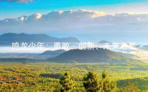 鸣龙少年：勇敢、创新、未来之星