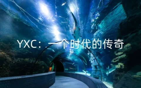 YXC：一个时代的传奇