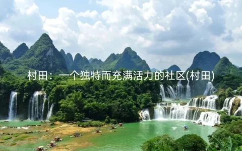 村田：一个独特而充满活力的社区(村田)