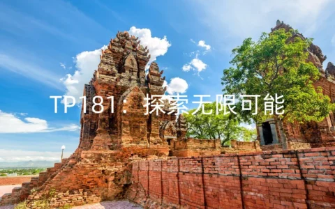 TP181：探索无限可能
