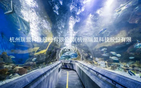 杭州瑞盟科技股份有限公司(杭州瑞盟科技股份有限公司)