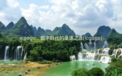 icgogo：数字时代的便捷之选(icgogo)
