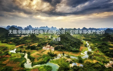 无锡华润矽科微电子有限公司：引领半导体产业的先锋