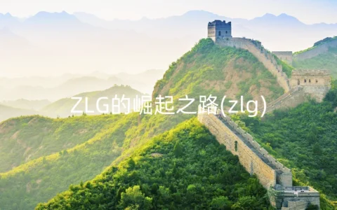 ZLG的崛起之路(zlg)