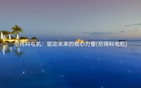 尼得科电机：驱动未来的核心力量(尼得科电机)