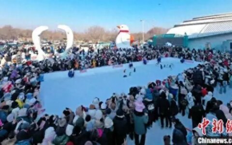 黑龙江哈尔滨：淘学企鹅冰雪大巡游连办80场曝光量破百亿