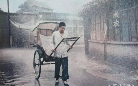 如何赏析《骆驼祥子》?-谈谈骆驼祥子这部作品的感受