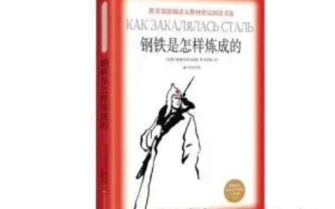 钢铁是怎样炼成的-《钢铁是怎样炼成的》中保尔的人物形象