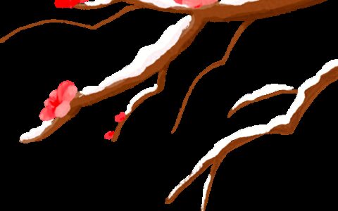 【网络中国节·元宵节】丨我们的节日这些元宵节传统文化习俗，你知道吗？-传统节日作文500字左右