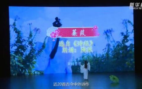 隋源唱诵《蒹葭》惊艳新华视点