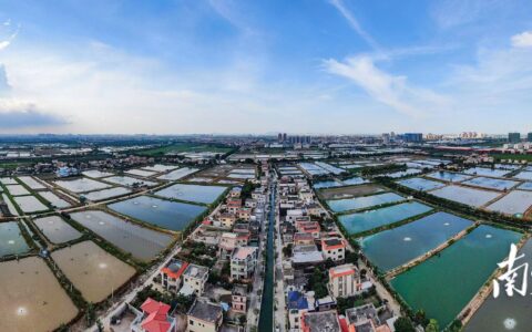 深读中山｜暌违11年，岭南水乡品牌有了哪些新意思