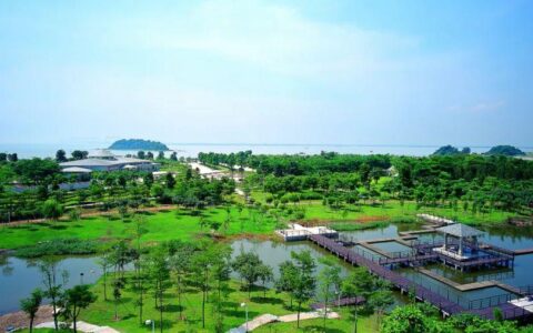 炎炎夏日，一起来领略湾区之心