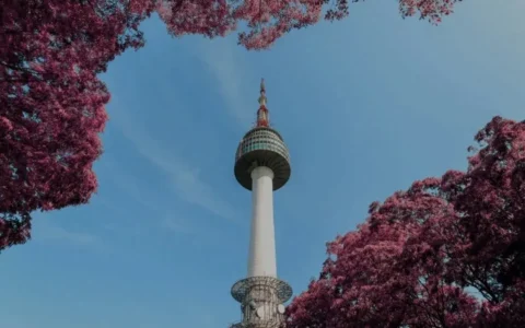 韩国旅行攻略：玩转首尔，吃遍釜山，一次满足你的所有…