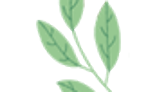 港澳+出境游超尽兴！哈铁超多旅游团等你来！