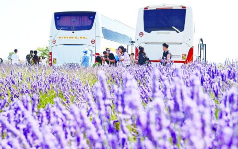 欧洲航线恢复缓慢，签证申请大量积压，多国都在问：中国团客去哪了？