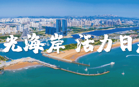 点赞！日照“文化圈”扩容！
