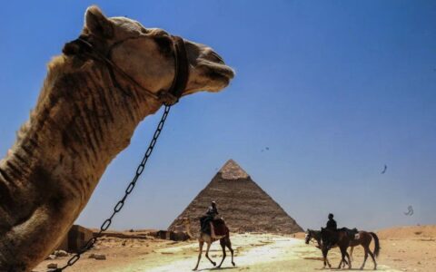 【少量机位 | 埃及9日游】全程阿联酋航空玩转埃及！自由全程无购物