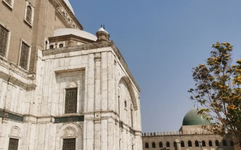 走出国门第一站:埃及行第三天(10月24)开罗