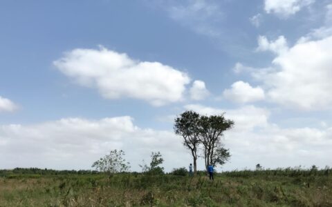 崇明岛二三日游