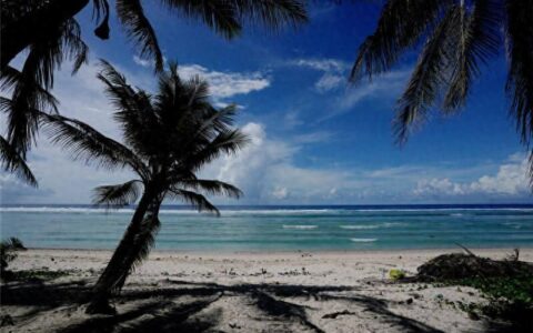 阳光、海滩、椰林，美丽太平洋岛国瑙鲁欢迎中国游客到来