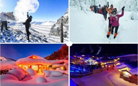 经验之谈：天津去东北雪乡旅游跟团报价