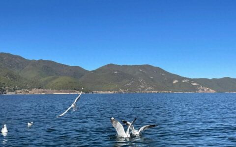 组团去云南旅游一周以及大概需要多少钱！不用动脑,不怕被坑