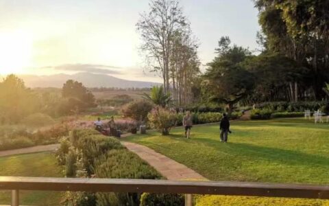 花2万多元去非洲看动物，换作是你会愿意吗？