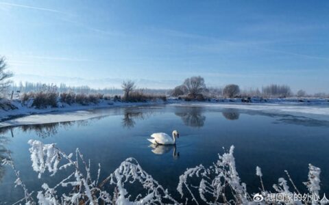 去新疆跟团走还是自己去好，新疆跟团7日游攻略价格多少？