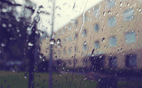 真相了！在六安混了这么多年，才知道每天迟到的原因是