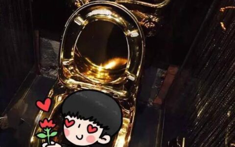 那些年一起遇到的奇葩厕所，饮食是艺术，释放更是艺术