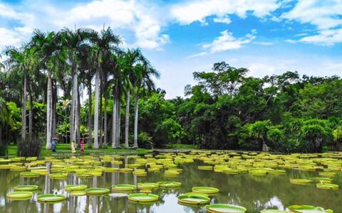 西双版纳游玩攻略，云南西双版纳6天5晚跟团旅游价格