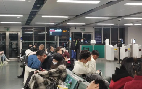 跟团游，自由行你会咋选