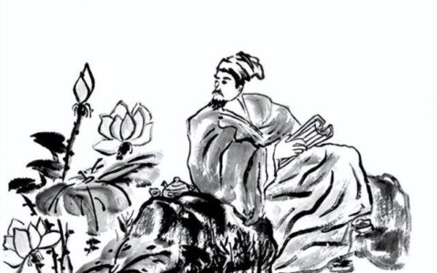 写下《爱莲说》的苦命人，却成为功盖在孔孟之间的道学宗主-爱莲说的全文阅读