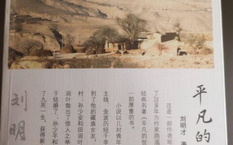 《平凡的世界》续集《平凡的人生》（101）-平凡的世界后续小说