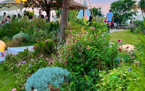 厦门旅游攻略，九大必去景点，厦门必打卡景点！