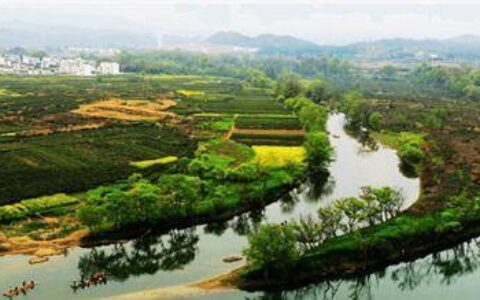 原创
阳春三月婺源行油菜花开醉游人，青山向晚盈轩翠，碧水含春傍槛流