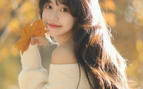 俄罗斯海参崴如何规划行程，海参崴旅游路线及价格