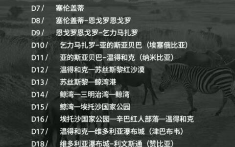 北京天津出发去到非洲6国旅游团 肯尼亚 坦桑尼亚 埃塞俄比亚 纳米比亚