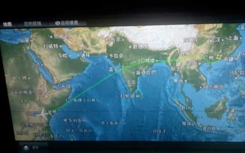 到非洲旅行带 8 岁小朋友同行有哪些需要注意的事项？