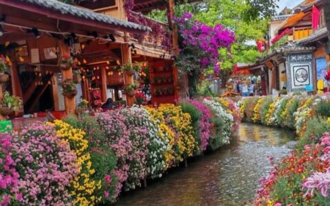 云南旅游五日游多少钱一个人？云南五日旅行社报价