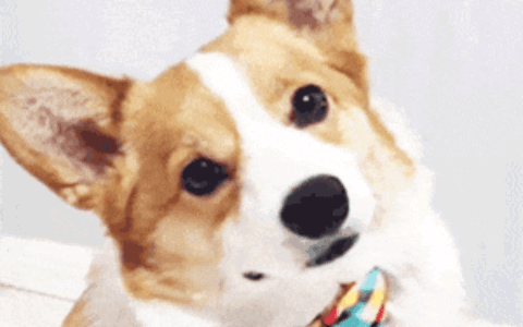 雨+雪+大降温！六安发布寒潮黄色预警