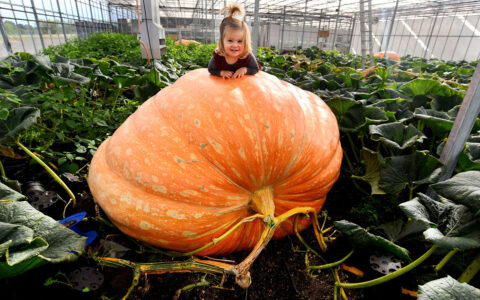 一文搞懂磅和KG的换算，从此不再为重量单位犯愁！