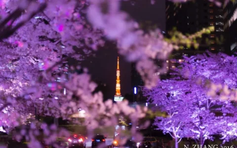 去日本旅游的话，都有哪些值得一去的地方？