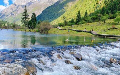 乐山大佛门票团购